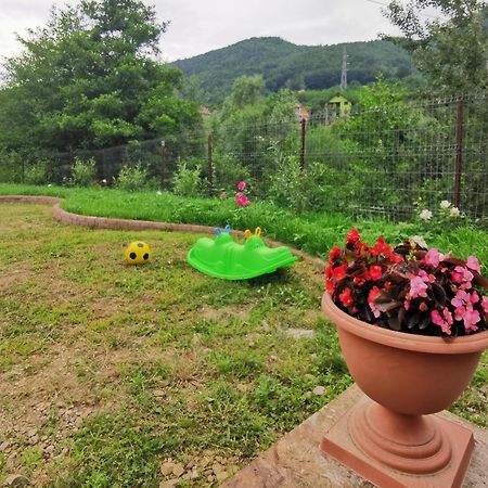 ネホイウ Casa Vioゲストハウス エクステリア 写真