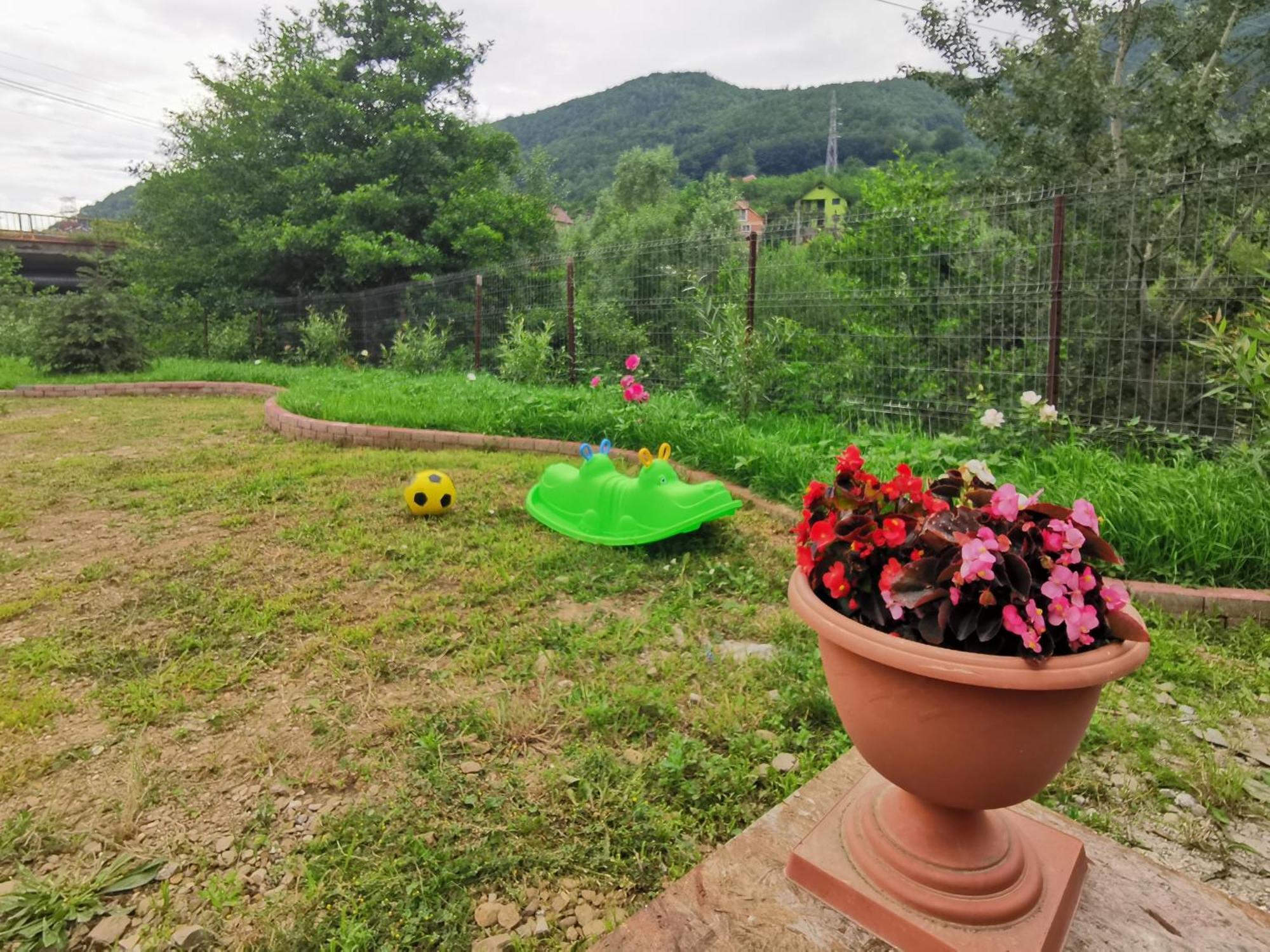ネホイウ Casa Vioゲストハウス エクステリア 写真